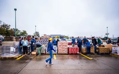 Top Reasons to Hire Professional Shipping Partners